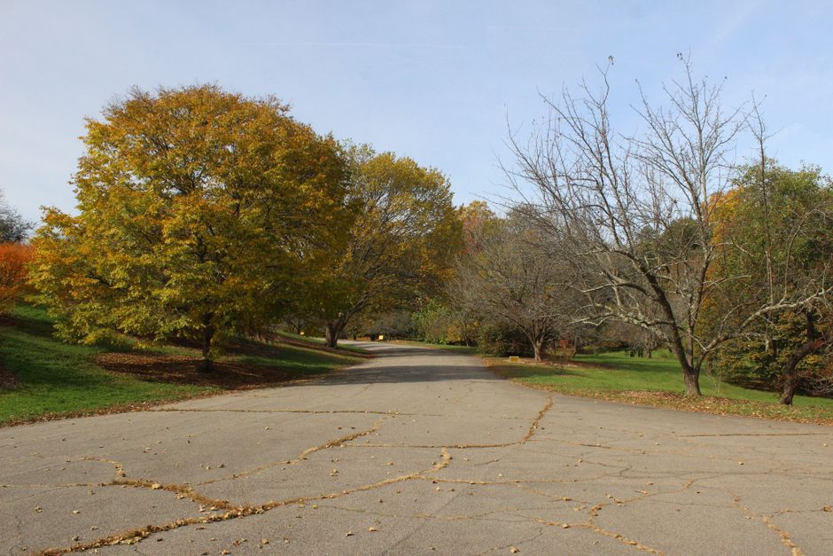 A scenic Northeast road lined with vibrant fall foliage, ideal for a group charter bus trip